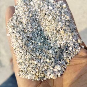 সিলেকশন ২.৫ বালি /Seliction 2.5 Sand